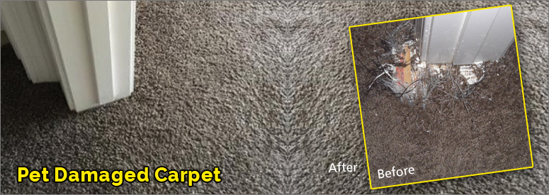 Pet Damaged Carpet Calabasas