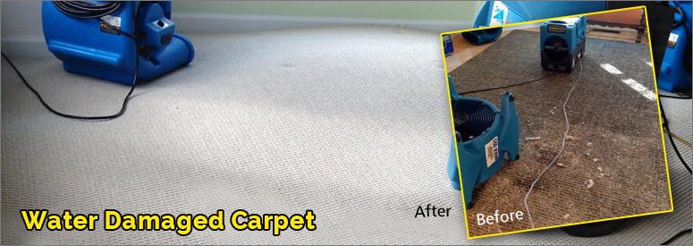 Water Damage Carpet Calabasas