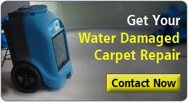 Water Damaged Carpet